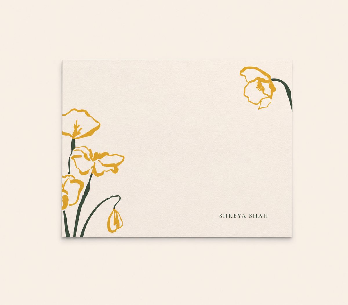 Olive & Ochre