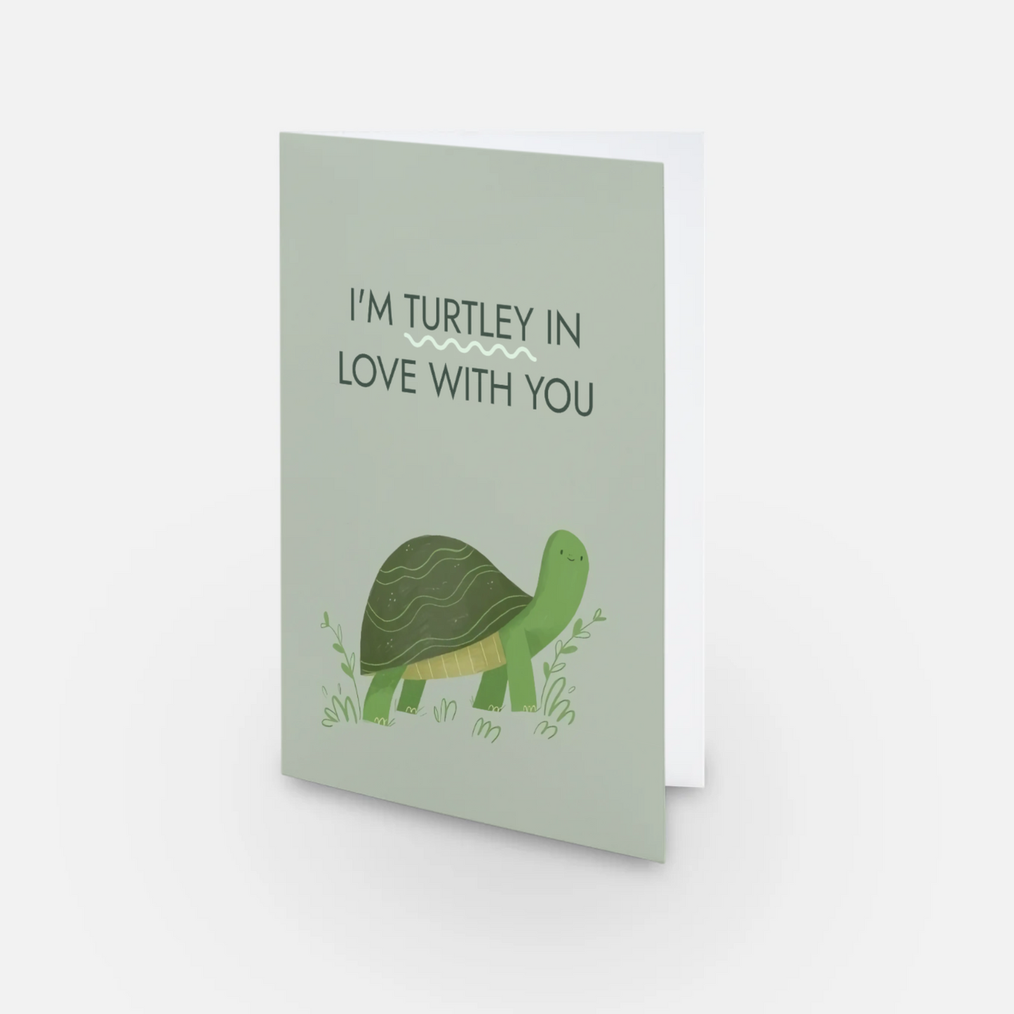 Turtley In Love